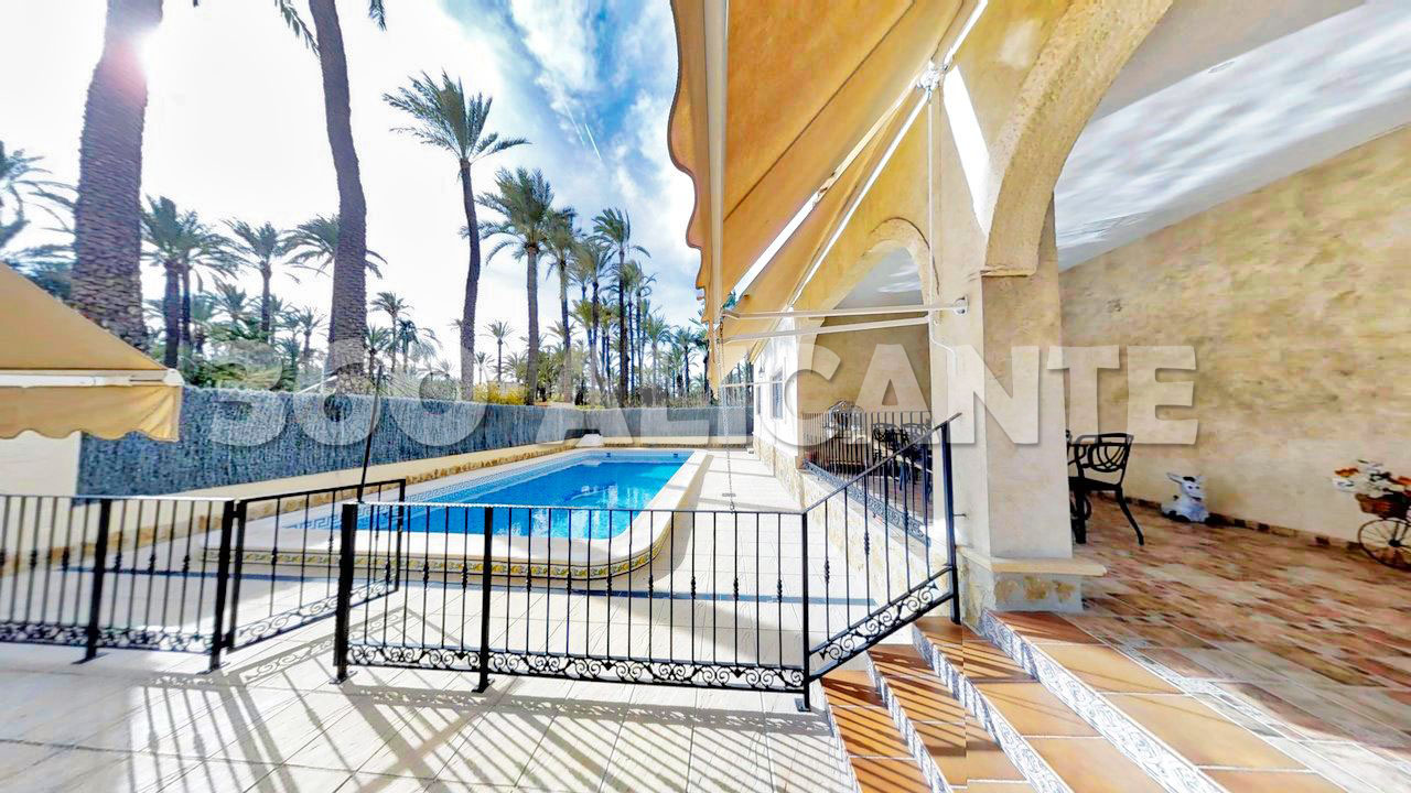 Palm Grove Villa in Elche with swimming pool
